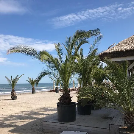 Nest By The Sea Appartement