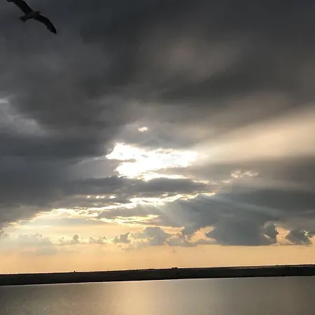 Nest By The Sea *